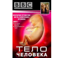 BBC: Тело человека ( 1998)