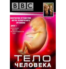 BBC: Тело человека ( 1998)