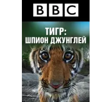 BBC: Тигр — Шпион джунглей ( 2008)