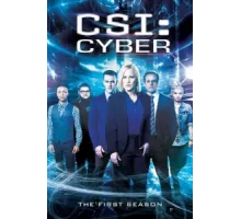 CSI: Киберпространство ( 2015)
