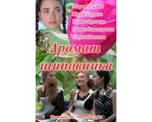 Аромат шиповника  сериал смотреть