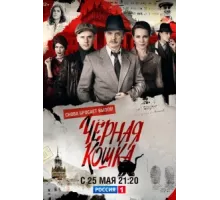 Чёрная кошка ( 2016)
