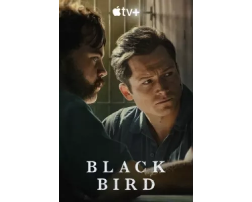 Чёрная птица сериал смотреть Чёрная птица сериал смотреть