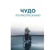 Чудо по расписанию ( 2016)