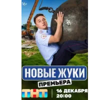 Жуки ( 2019)