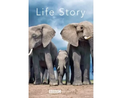 История жизни сериал смотреть История жизни сериал смотреть