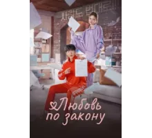 Любовь по закону ( 2022)