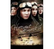 Ночные ласточки ( 2012)