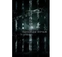 Однажды ночью ( 2016)