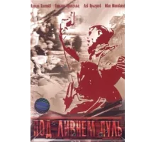Под ливнем пуль ( 2006)