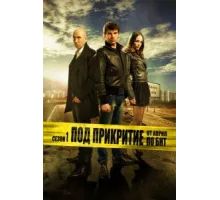 Под прикрытием ( 2011)