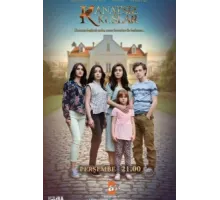 Птицы без крыльев ( 2017)