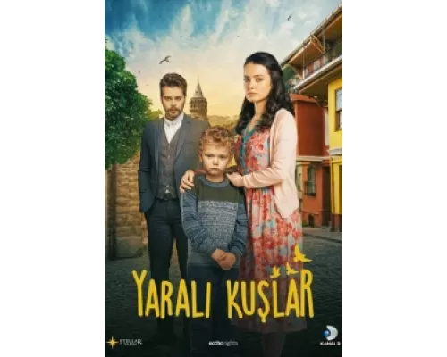 Раненые птицы  сериал смотреть