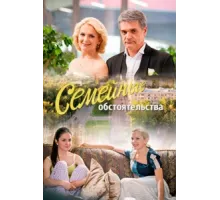 Семейные обстоятельства ( 2016)