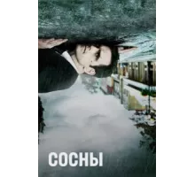 Сосны ( 2015)