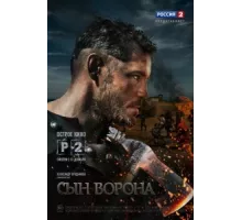 Сын ворона ( 2014)
