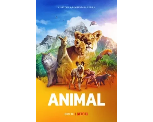 Удивительные животные  сериал смотреть