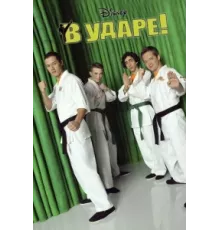 В ударе ( 2011)