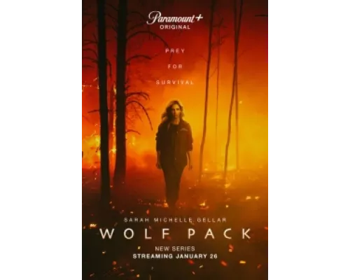Волчья стая сериал смотреть Волчья стая сериал смотреть