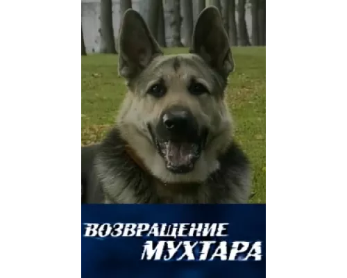 Возвращение Мухтара  сериал смотреть